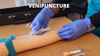 Venipuncture Procedure  Using A Straight Needle DETAILED Blood Draw Technique PHLEBOTOMY [upl. by Flossi216]