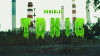 ANDJELIC  TOXIC ⚠️ OFFICIAL VIDEO [upl. by Imim938]