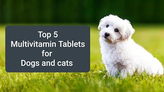 Top 5 cheapest and best quality multivitamin Tablets and syrup for dogs👍💊🐕 [upl. by Yoccm]