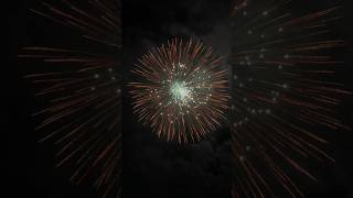 8 Firework fireworks pyromagic pyrotecnic skyshot [upl. by Krasner811]