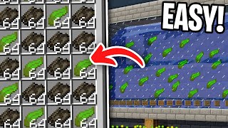 Easiest 121 Kelp Farm  XP FOOD FUEL  JAVA  BEDROCK [upl. by Ajdan]