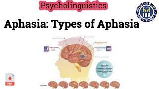 Aphasia  Types of Aphasia [upl. by Ahsocin]