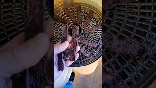 Venison Jerky groundvenison jerkygun dehydrator 30hrs [upl. by Campos634]