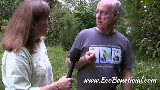 EcoBenefical Tips Doug Tallamy in His Garden with Coral Honeysuckle [upl. by Notrem]