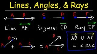 Lines Rays Line Segments Points Angles Union amp Intersection  Geometry Basic Introduction [upl. by Racso885]