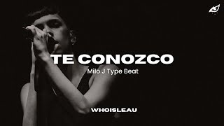 FREE Milo J x RnB Type Beat  quotTE CONOZCOquot  Melodic Guitar Drill Type Beat [upl. by Einamrej]