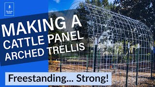 How to Build a Strong Cattle Panel Arch Trellis [upl. by Drhacir]