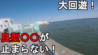 【茨城県中部】7月下旬サビキ釣り調査釣行！梅雨明け後の夏の時期に、視聴者さんから情報提供があった太平洋に面した茨城県ひたちなか市の常夜灯のある釣り場で釣りしていたら…！【20210720】 [upl. by Lareine]