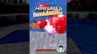 How You Can Breed the Axolotl in Minecraft  YouTube shorts [upl. by Freya654]