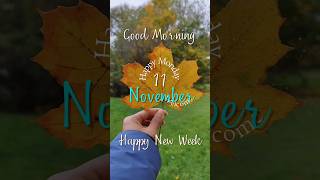 11 November 2024 good morning wishes goodmorningstatus 11nov2024status mondayvibe good morning [upl. by Naro]