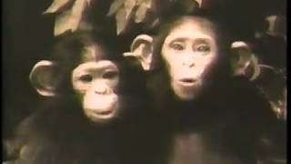 Commercials from 1992 Part 8 [upl. by Alenas]