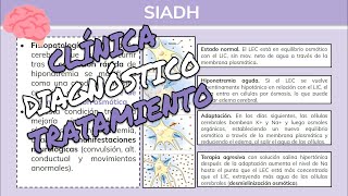 ⚕️🩺 Síndrome de Secreción Inadecuada de Hormona Antidiurética SIHADSIADH  Endocrinología [upl. by Mcallister]