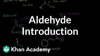 Aldehyde introduction  Aldehydes and ketones  Organic chemistry  Khan Academy [upl. by Hcaz]