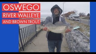 Fishing for Brown Trout and Walleye Fishing the Oswego River in Oswego New York [upl. by Leiso]