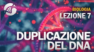 BIOLOGIA  Lezione 7  Duplicazione del DNA [upl. by Adnirb206]