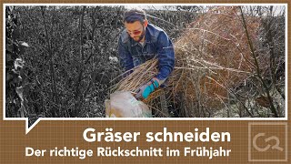 Gräser schneiden – Rückschnitt im Frühjahr [upl. by O'Donovan982]