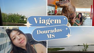 VIAJEI PARA DOURADOSMS  VLOGÃO DA LELÊ  Hi Lelê [upl. by Darda95]