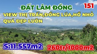 🟢Đất view thị trấn Đinh Văn Lâm Hà Lâm Đồng rẻ đẹp đáng để đầu tưdatlamdong datlamha [upl. by Rochkind28]