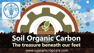 Soil Organic Carbon [upl. by Zoellick524]