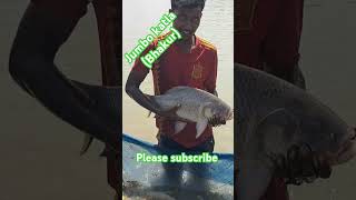 Jumbo size katla Bhakti fish 🐟 in Nepal 🇳🇵 [upl. by Barra]