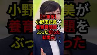 【三重苦】小野田紀美が養育費問題をぶった切った結果w雑学 政治 [upl. by Etirugram]