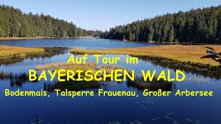 Rad und Wandertour Bayerischer Wald  Bodenmais  Zwiesel  Talsperre Frauenau  Großer Arbersee [upl. by Nnahs]