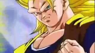 Dbz amv goku vs buu [upl. by Ansev]