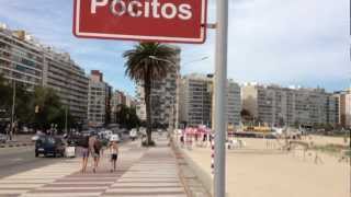 Playa de los Pocitos Montevideo  Explore Uruguay [upl. by Shanahan458]