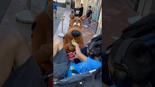 Thomas giving ScoobyDoo a piece of popcorn shorts universalstudios autism [upl. by Farkas]