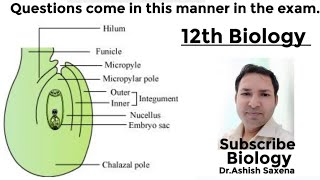 12th Biology OvuleThis type of questions come in your exam [upl. by Zaneski]