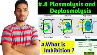 Plasmolysis and Deplasmolysis Imbibition in PlantsBSc 2 year [upl. by Farah]