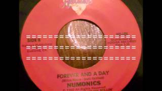 Forever And A Day  Numonics [upl. by Kilroy]