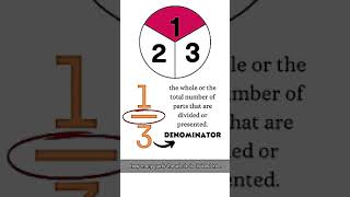 Numerator and Denominator [upl. by Dario]