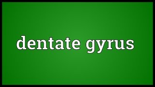 Dentate gyrus Meaning [upl. by Tomasina194]