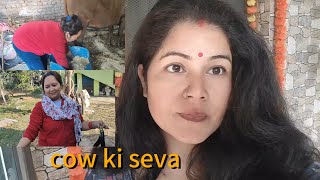 daily routine vlog aaj ki cow ki kaam [upl. by Sibie]