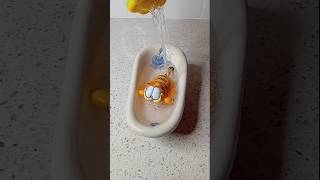 Garfield 🚿🛁🙀 toys squishy cat meow funny [upl. by Einiar919]