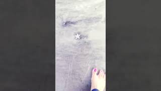 Diveagar beach bohatsare starfish dekhe pehelibaar travel nature travelvlog ytshort shorts [upl. by Ayekram]