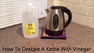 How To Descale A Kettle With Vinegar [upl. by Ailana]