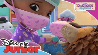 Doctora Juguetes Momentos Mágicos  Stanley  Disney Junior Oficial [upl. by Bronson816]