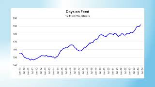 2024 Livestock Market Update [upl. by Uhthna]