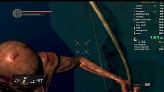 Dark Souls  Any Speedrun  2023 World Record [upl. by Nezam]