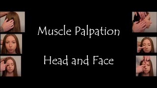 Muscle Palpation  Head and Face Masseter Temporalis Buccinator Orbicularis Oris Mentalis ASMR [upl. by Retnyw]