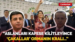 Başak Demirtaştan Erdoğana çok sert Selo yanıtı Kuyruğuna basılmış kedi gibi [upl. by Roskes]