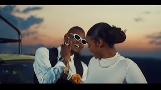 Pallaso  ZARI  Official Video [upl. by Artemahs]