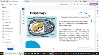 phylum microsporidia لافقاريات [upl. by Adnileb]