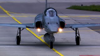 Swiss Top Guns  F5 Tiger and F18 Hornet action in beautiful Meiringen Switzerland HD [upl. by Nolyar]