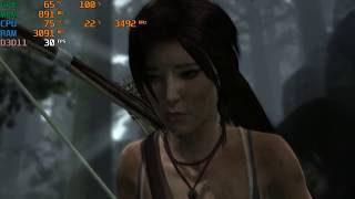 Tomb Raider on NVIDIA Quadro K4000 and Intel Xeon E51650 [upl. by Mas]