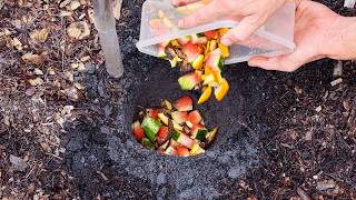 Just Bury Food Scraps Under Your Plants and This Happens [upl. by Tessie]