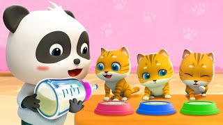 Kitty Cat Song  Play with Kittens  Pet Care Song  Nursery Rhymes amp Kids Songs  BabyBus [upl. by Parker]