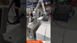 What palletizing materials can Dobots robots help you with [upl. by Matteo]